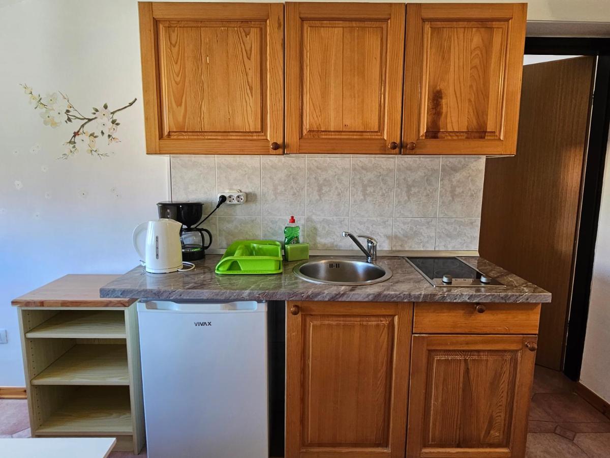 Apartments & Rooms Gaspar Rovinj Extérieur photo